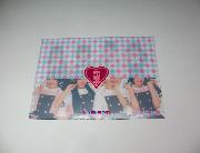 私立恵比寿中学クリアケース全2種