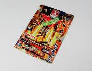 丸大オリジナルガンバライジングカード全5種