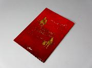 双子の魔法使いリコとグリのオリジナルブック