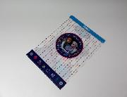 アナと雪の女王クリアファイル