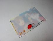 夏目友人帳オリジナルクリアファイル全15種