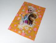 アナと雪の女王オリジナルクリアファイル