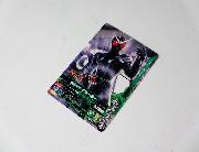 ガンバライジングカード（全12種）