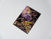 ガンバライジングカード（全12種）