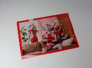 ウルトラクリアファイル　ウルトラファミリーの地球生活体験全8種