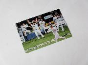 ２０１５プロ野球チップス第１弾カード