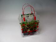 カゴメトマトの苗凛々子