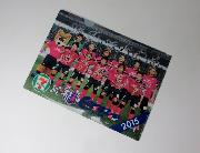 セレッソ大阪オリジナルA4クリアファイル