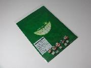 Greeen・生茶パンダ　クリアファイル