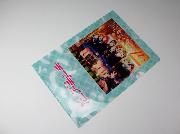 セブン-イレブン限定　ラブライブ！クリアファイル全10種
