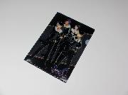 ファミリーマート限定　あんさんぶるスターズ！オリジナルクリアファイル全4種