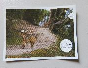 ねこ休み　シール