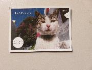 ねこ休み　シール