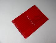 ラブライブ×Watering KissMint　クリアファイル全4種