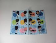 イオン限定　ダイヤのAオリジナルダブルポケットクリアファイル