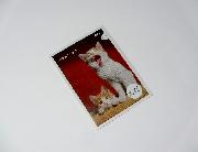 ふわっとねこ休みシール全２２種