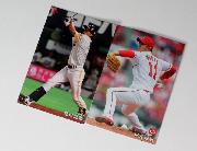 2016プロ野球チップスカード第2弾