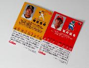 2016プロ野球チップスカード第2弾