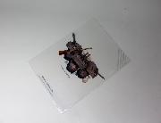 艦娘秋祭りクリアファイル全4種