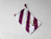 乃木坂46マルチケース全2柄