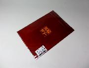 銀座カリーオリジナルクリアファイル