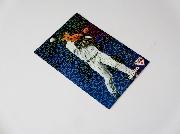 野球日本代表JAPAN侍ジャパンチップスキラカード