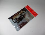 文豪ストレイドックスクリアファイル全2種