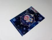 イオン限定　キキ＆ララコラボクリアファイル