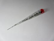 カーネーション