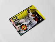 丸大オリジナル阪神選手カード 全15種