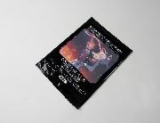 PSO2ビジュアルカードコレクション 全5種