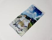 打ち上げ花火、下から見るか？横から見るか？オリジナルミニポケファイル 全3種