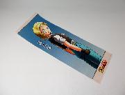 ドラゴンボール名場面ポスター 全5種