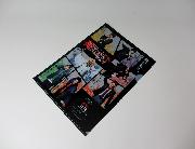 炎の転校生REBORN オリジナルA4サイズクリアファイル 全2種