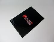 炎の転校生REBORN オリジナルA4サイズクリアファイル 全2種