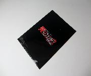 炎の転校生REBORN オリジナルA4サイズクリアファイル