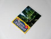 オリジナル鉄道ポストカード3枚入り 全3種