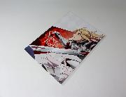 Fate/Apocrypha オリジナルA2ポスター 全4種