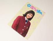 花のち晴れクリアファイル 全4種