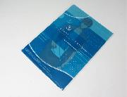 Free！－Dive to the Future－オリジナルクリアファイル 全5種