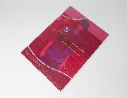 Free！－Dive to the Future－オリジナルクリアファイル 全5種