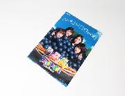 乃木坂46 オリジナルクリアファイル