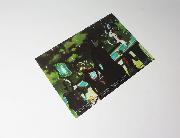 PERSONA5 the Animation クリアファイル 全4種