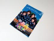 クリアファイル