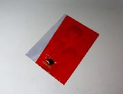 羽生結弦クリアファイル