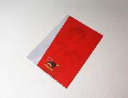 羽生選手オリジナルクリアファイル 全5種