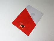 羽生選手オリジナルクリアファイル 全5種