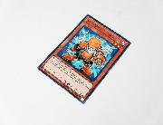 遊戯王OCGカード 全20種