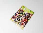 コードギアス反逆のルルーシュ オリジナルキャラクターノート 第3弾 全2種