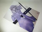 劇場版「Fate/stay night [Heaven’s Feel]」オリジナルA2ポスター 全3種